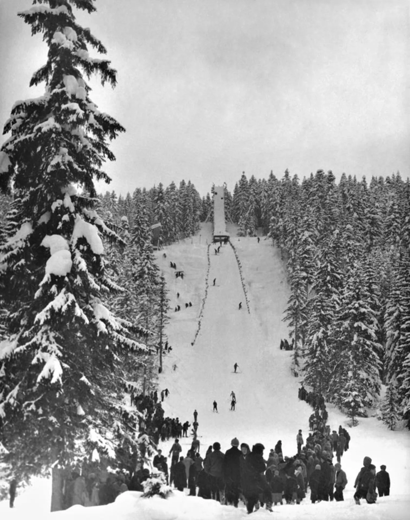 Skakaonica – Žabljak, Czarnogóra
